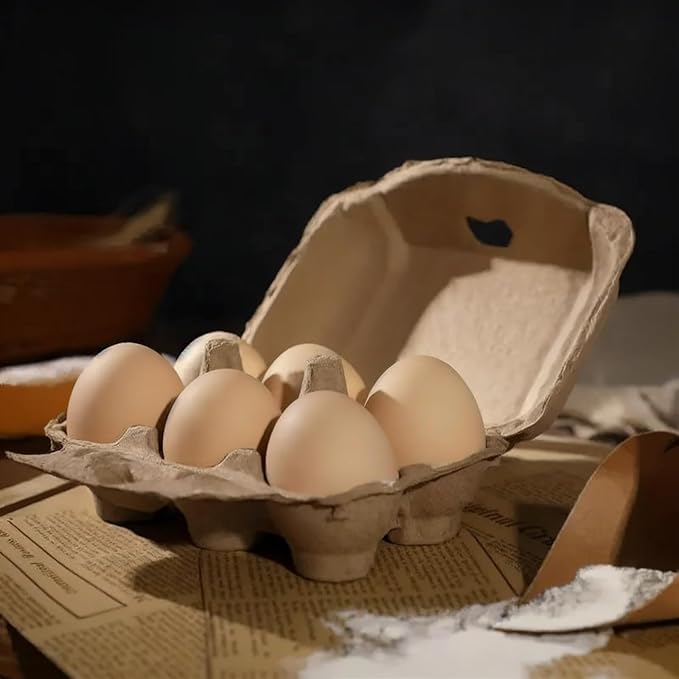 50 Pack Half Dozen Egg Cartons, Blank Natural Pulp Egg Carton Bulk 6 Count for Chicken Eggs and Duck Eggs, Reusable, Protects, Egg Storage Containers for Home Kitchen and Farmhouse (50 PCS 6 Count)