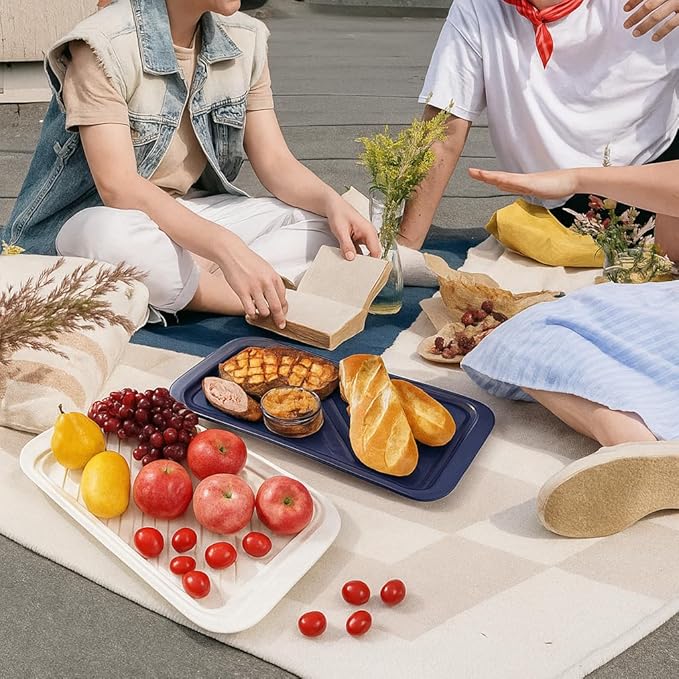 TP Grilling Prep and Serve Trays, 17 x 10.5 inch BBQ Trays for Cooked and Raw Foods, Set of 2 Melamine Serving Platters for Meats, Grill Accessories, Blue and White