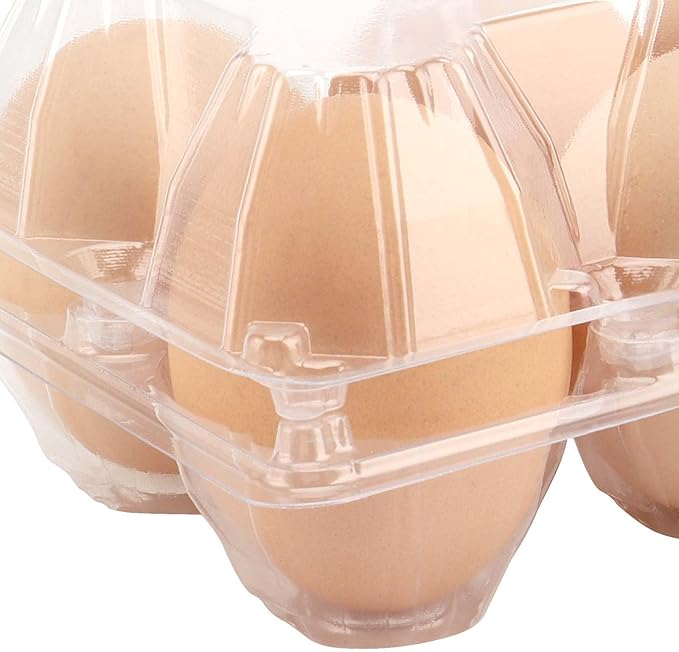 JAPCHET 150 Pack Clear 6 Egg Carton, Empty Plastic Egg Cartons for Chicken Egg Storage and Transport for Kitchen, Market and Farm