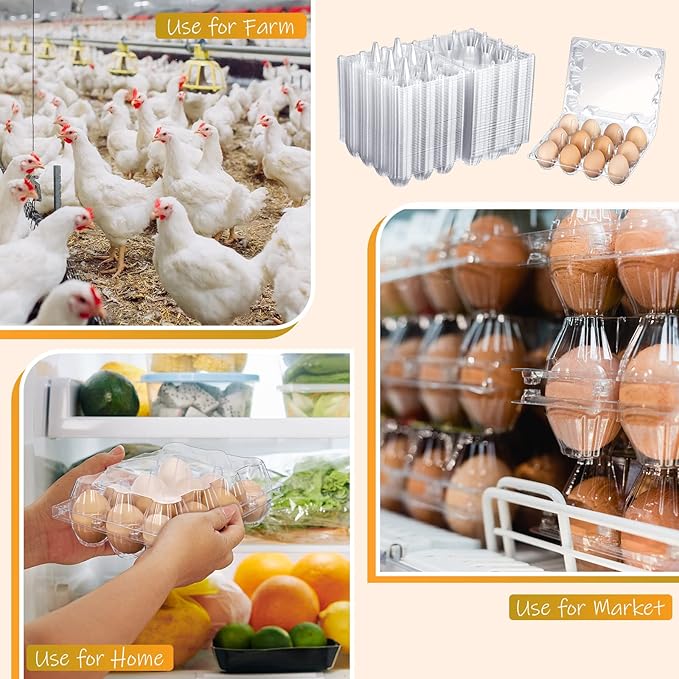 Zubebe 300 Pcs Plastic Egg Cartons Clear Egg Cartons Bulk Blank Tray for Chicken Farm Business Market Home Refrigerator Storage