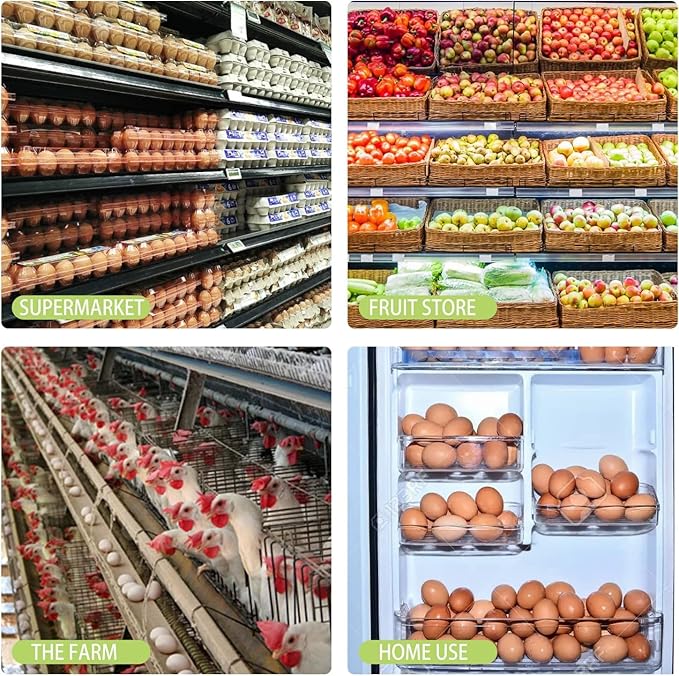50PCS Egg Cartons,Eco-friendly Clear Plastic Blank Egg Carton Bulk,Holds Up to 12 Eggs Securely,Refrigerator Egg Tray Storage for Family Pasture Chicken Farm Business Market