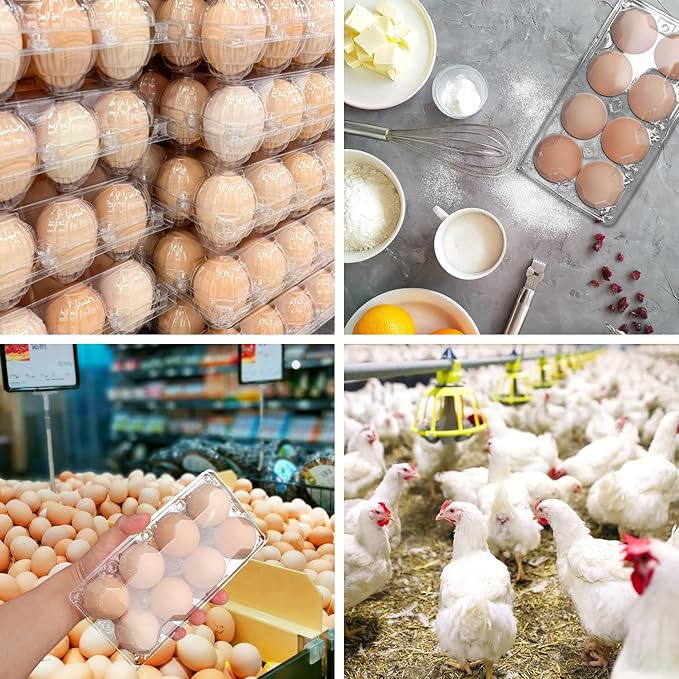 150 Pack Bulk Egg Cartons, Clear Plastic Chicken Egg Holders, Egg Tray Carton Holder for Home & Kitchen, Farm & Market Use, An Eco-Friendly Egg Storage Solution, 8 Grids,(Medium Size)…