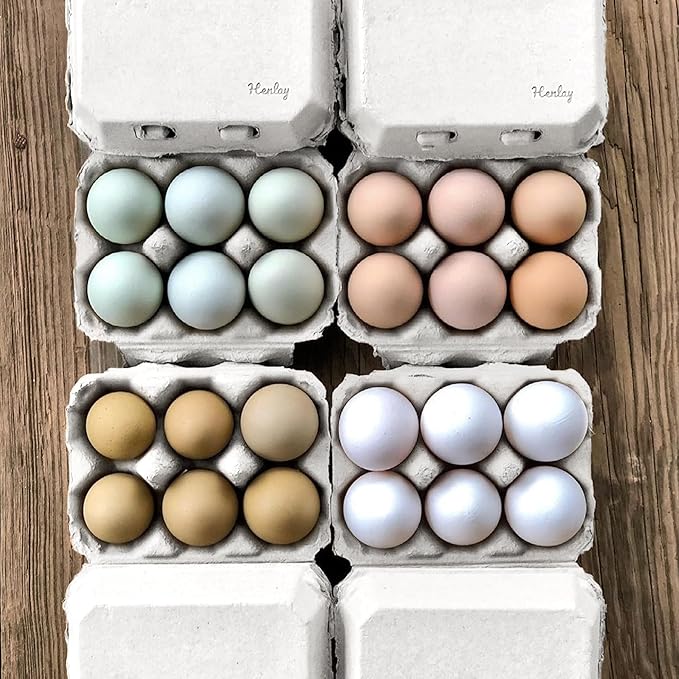 White Half Dozen Blank Egg Cartons – 6-Pack Flat Top Half-Dozen Holder, Recyclable Pulp, Ideal for Farm-Fresh Eggs, DIY Custom Labeling, Eco-Friendly Storage - 20 Pack