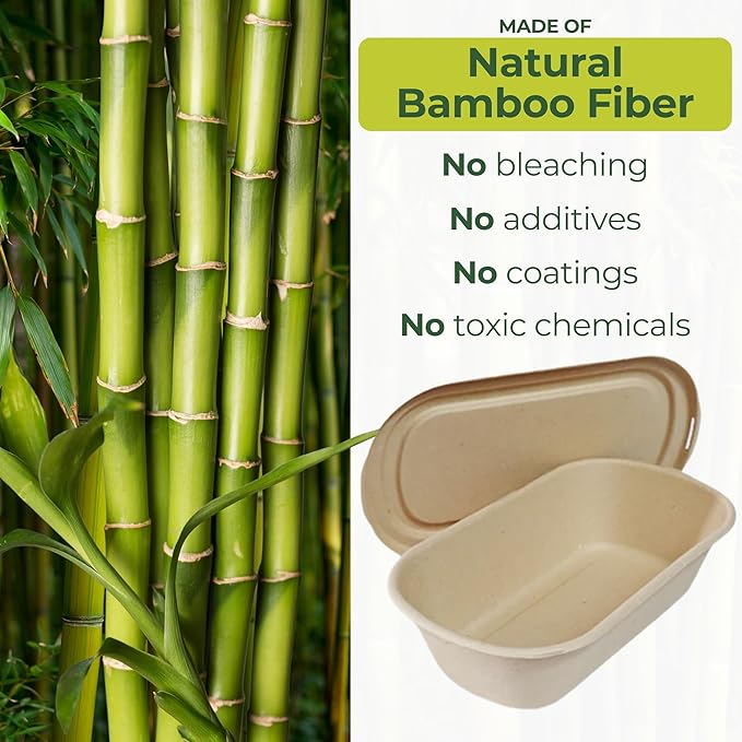Dtocs Bamboo Fiber 500 mL Meal Prep Containers (Pack 50) | Disposable To-Go Food Containers With Lid | Microwave & Freezer Safe | Alternative to Glass Food Storage Box