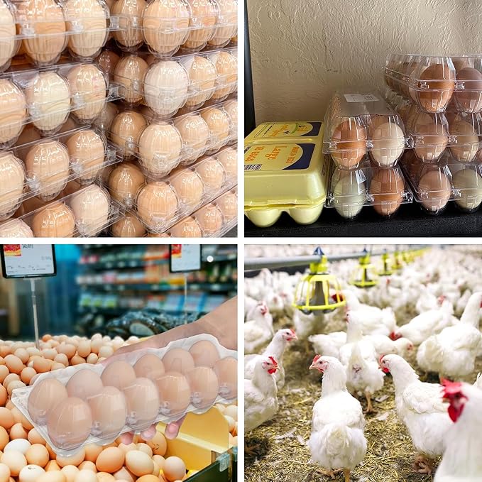 Bulk Egg Cartons 90 Pack, Clear Plastic Chicken Egg Holders, Egg Tray Carton Holder for Home & Kitchen, Farm & Market Use, An Eco-Friendly Egg Storage Solution(12 Grids)