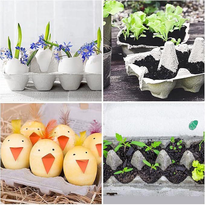 CertBuy 20 Pack Empty Egg Carton, Blank Natural Pulp Egg Cartons Holds Up to 12 Eggs, Reusable Natural Pulp Egg Torage Containers for Home, Kitchen, Farm