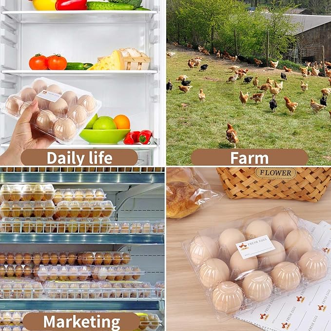 Egg Cartons 80 Pack,Clear Plastic Egg Cartons Cheap Bulk 12 Count For Fresh Chicken Eggs,4x3 Grids Reusable Egg Tray Holder For Refrigerator Storage, Family, Chicken Farm With Label Stickers