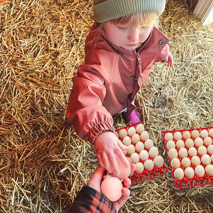 4-Pack Plastic Egg Tray Egg Crate, 30-Egg Flats for Home Chicken Farmers, Stackable & Durable, Great for Storing, Sorting & Shipping, and Reusable (4-Pack Blue)