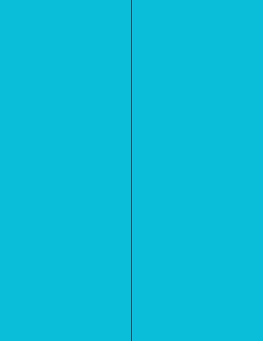 NextDayLabels - 8-1/2 x 11 Neon Color High Light Fluorescent Labels for Laser & Inkjet Printer (Blue Fluorescent, 4-1/4" x 11" - 2 Per Page | 200 Labels)