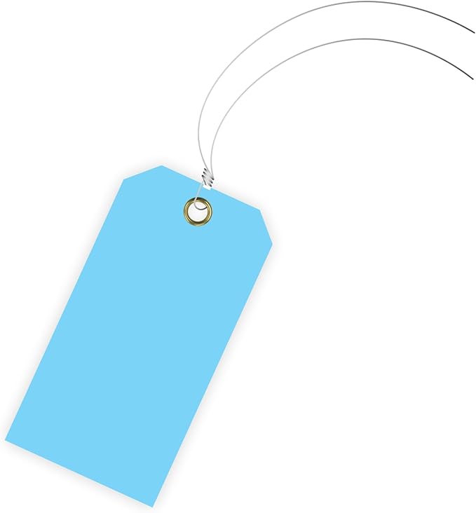 Tags 4 Less 15 Mil Blank Plastic Hang Tags with Attached Wires – 2" x 4" Heavy Duty Waterproof Hanging Labels for Outdoor Tagging, Equipment, Luggage, Valves & More (Light Blue, Pack of 50)