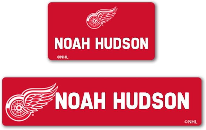 NHL Hockey Labels - Custom Peel and Stick, Waterproof Labels - Great for Organization, Sports, School, Day Camp Labels - 155 Pack (Detroit Red Wings)