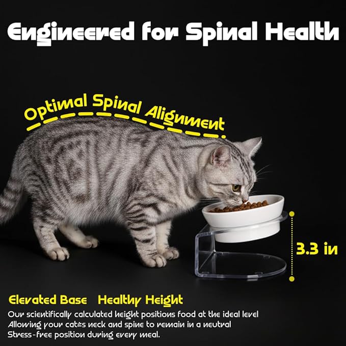 LivLab Mker Raised Cat Bowl, Elevated Cat Food Bowls with Stand - 15° Tilted Shallow Cat Dish for Whisker Fatigue Relief, 4.5" Height for Easy Feeding, Lead & Cadmium Free Melamine Bowl, White