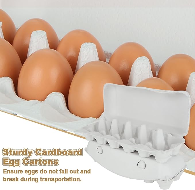 CertBuy 20 Pack Empty Egg Carton, Blank Natural Pulp Egg Cartons Holds Up to 12 Eggs, Reusable Natural Pulp Egg Torage Containers for Home, Kitchen, Farm