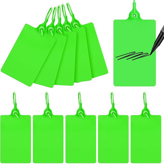 100 Plastic Label Tags Water Proof Tags for Labeling Shipping Tags Security Tamper Seals Hanging Tags Writable Marker Ties Luggage Tags Storage Tag with One Marker Pen (Green), 9.8*2.56in
