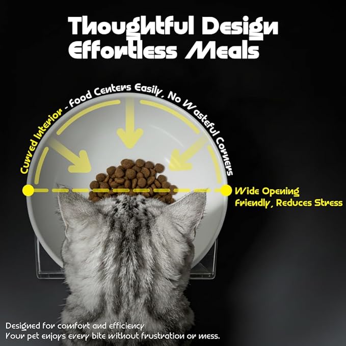 LivLab Mker Raised Cat Bowl, Elevated Cat Food Bowls with Stand - 15° Tilted Shallow Cat Dish for Whisker Fatigue Relief, 4.5" Height for Easy Feeding, Lead & Cadmium Free Melamine Bowl, White