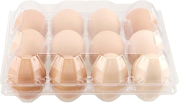 JAPCHET 100 Pack Plastic Egg Cartons, Clear 12 Egg Cartons Dozen Plastic Egg Carton Bulk for Kitchen, Fridge, Market and Farms
