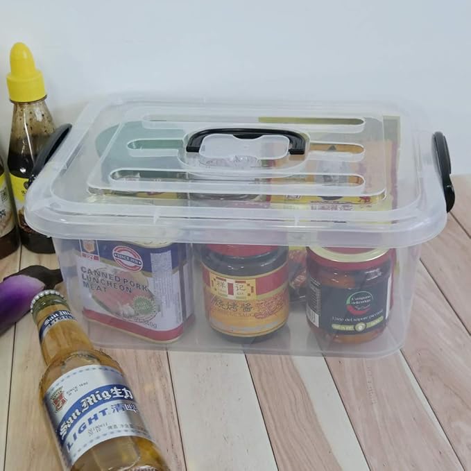 8 L Plastic Storage Boxes, Clear Storage Bin with Black Handle, 2-Pack