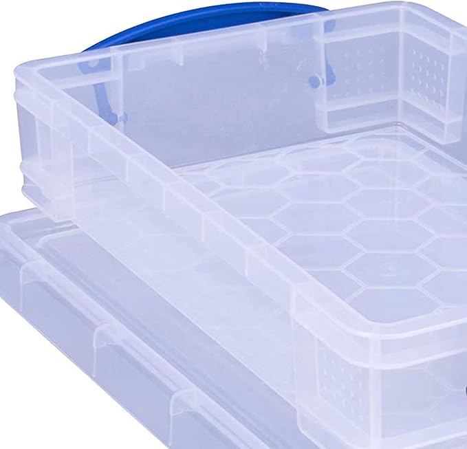 Really Useful Box 4 Liter Plastic Stackable Storage Container w/Snap Lid & Built-In Clip Lock Handles for Home & Office Organization, Clear (2 Pack)