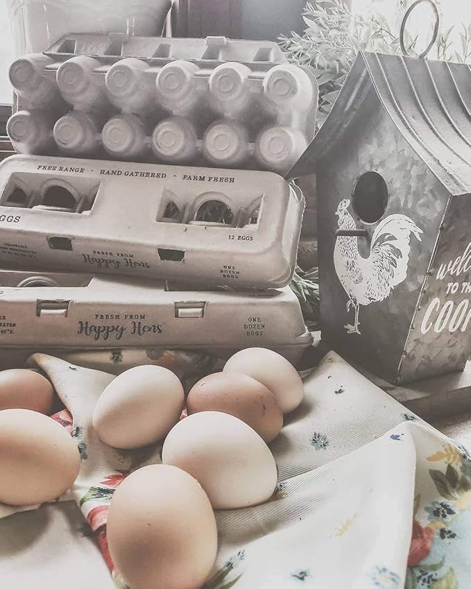 Egg Cartons- Adorable Printed Design for Farm Fresh Eggs, Recycled Paper Cardboard, Sturdy & Reusable, Holds up to XL Chicken Eggs (Blank Stamping, 250)