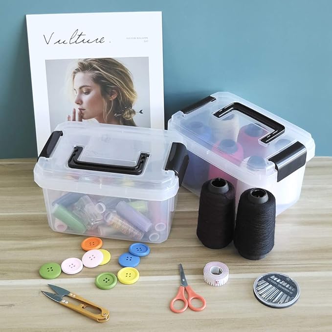 2 L Clear Mini Plastic Storage Box, Tiny Clear Storage Bin, 4-Pack