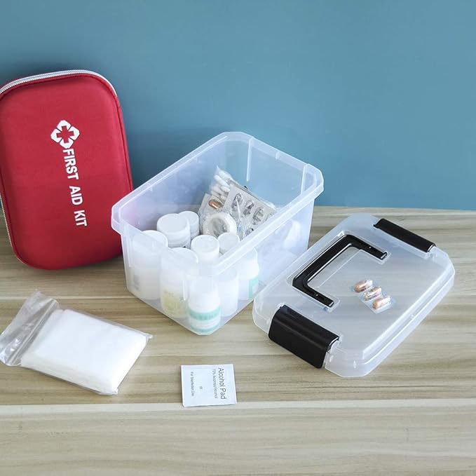 2 L Clear Mini Plastic Storage Box, Tiny Clear Storage Bin, 4-Pack