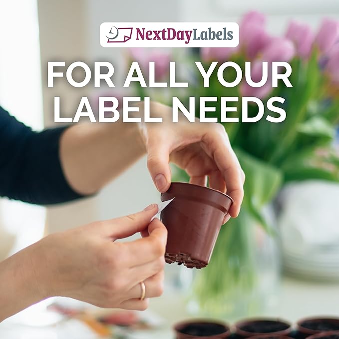NextDayLabels 4x1 Inch Rectangle Stickers White Blank Labels for Laser Inkjet Printer - 20 Per Sheet Self-Adhesive Return Address Shipping Made in USA - 10,000 Labels