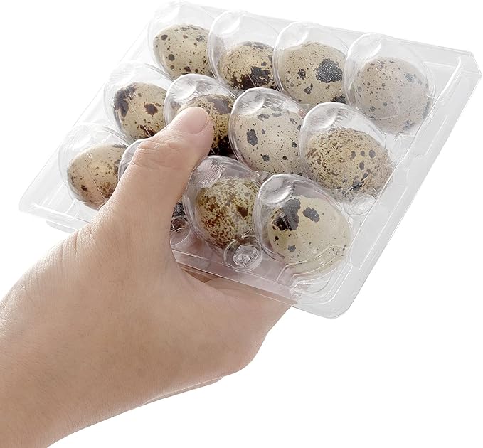 JOIKIT 50 PCS 12 Cavity Clear PVC Quail Egg Cartons, Stackable Egg Storage Box, Plastic Bulk Cartons for Quail Eggs