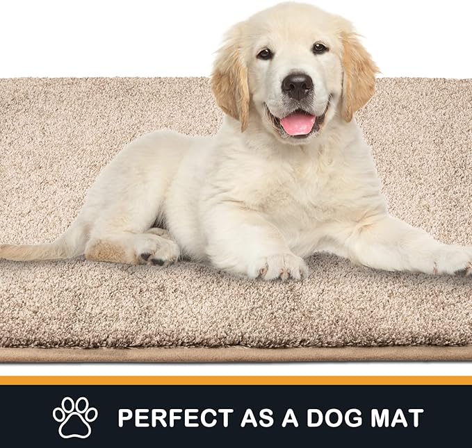 PURRUGS Dirt Trapping Door Mat 20" x 31.5", Non-Slip Machine Washable Entryway Rug, Dog Doormat, Indoor Front Door Mat, Super Absorbent Entry Rug for Muddy Shoes & Paws, Taupe