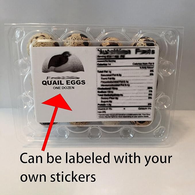 JOIKIT 50 PCS 12 Cavity Clear PVC Quail Egg Cartons, Stackable Egg Storage Box, Plastic Bulk Cartons for Quail Eggs