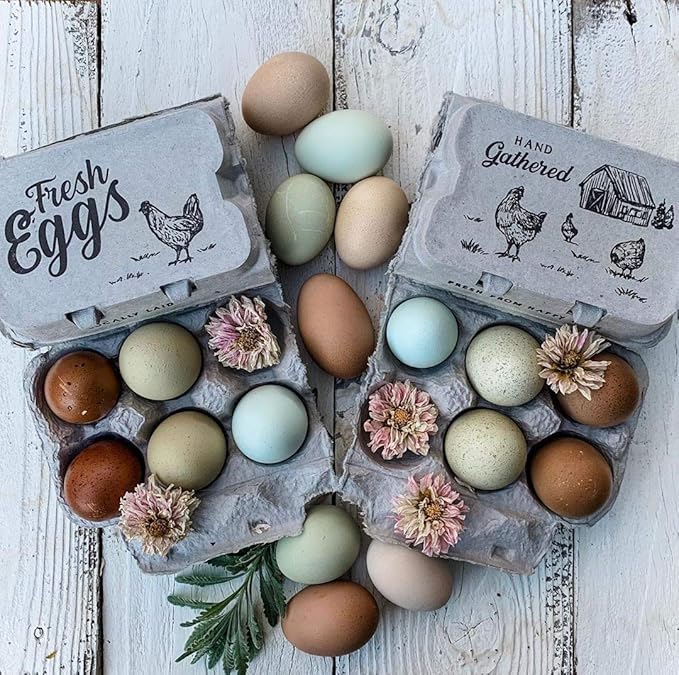 Half Dozen Empty Egg Cartons- 15 Full Dozen Can Split to 30 Half Dozen Size Cartons- Securely Holds 6 or 12 Extra Large Eggs
