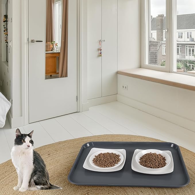 Readsky 6 Packs Gray Extra Large Rectangle Plastic Trays, 25.2" x 17.5" Multi-Purpose Rectangular Trays, Boot Tray, Serving Tray