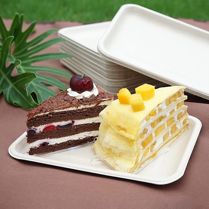 Celel 100 Pack 8 Inch Rectangle Paper Plates, 8 x 6 inch Food Trays Disposable Rectangle Plates for Tacos, Meat, Dessert, Snack