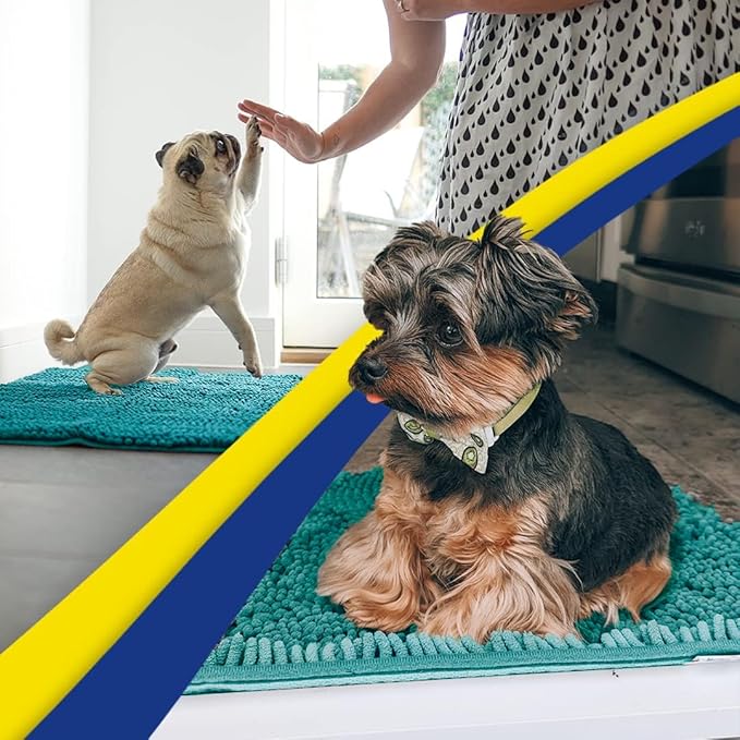 Muddy Mat® | Super Absorbent Door Mat Indoor, Microfiber Quick Dry Chenille Entryway Rug, Non-Slip Front Door Mat, Indoor Mats for Entryway, Machine Washable Pet Rug, Teal 18"x28"
