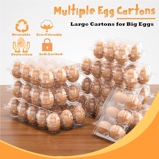 60PCS Egg Cartons Cheap Bulk, Large Egg Cartons Plastic 12 Count, 1 Dozen Reusable Egg Container Holder for Storing, Sharing, Selling, Clear Egg Cartons for Home Ranch Farm Market-2x6 Grids
