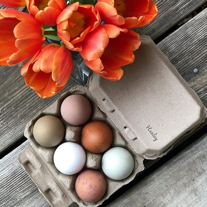 Half Dozen Blank Egg Cartons – Flat Top Half-Dozen Holder, Recyclable Pulp, Ideal for Farm-Fresh Eggs, DIY Custom Labeling, Eco-Friendly Storage - 100 Pack