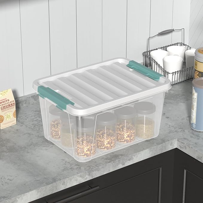 Sandmovie 20 Quart Storage Bin with Latching Lid, Plastic Clear Latch Storage Box, 6 Packs