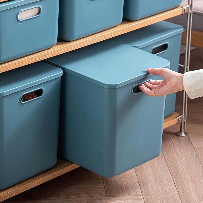 GUMEIGODA Plastic Storage Bins with lids,Storage Baskets,Container with handle,Storage Organizer Bins for Shelves,Office,Bedrooms,Closets, Cabinets(Blue, 4XL)