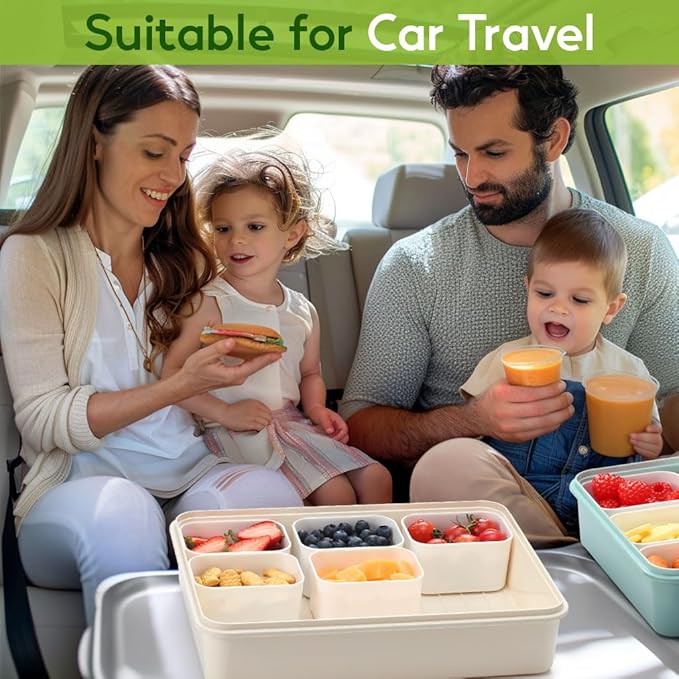 Snackle Box Container for Adults with 9 Compartment, Divided Serving Tray Snack Box Containers with Lid and Handle, Charcuterie Boxes Portable Snack Platter for Fruit Veggie Party Travel, White
