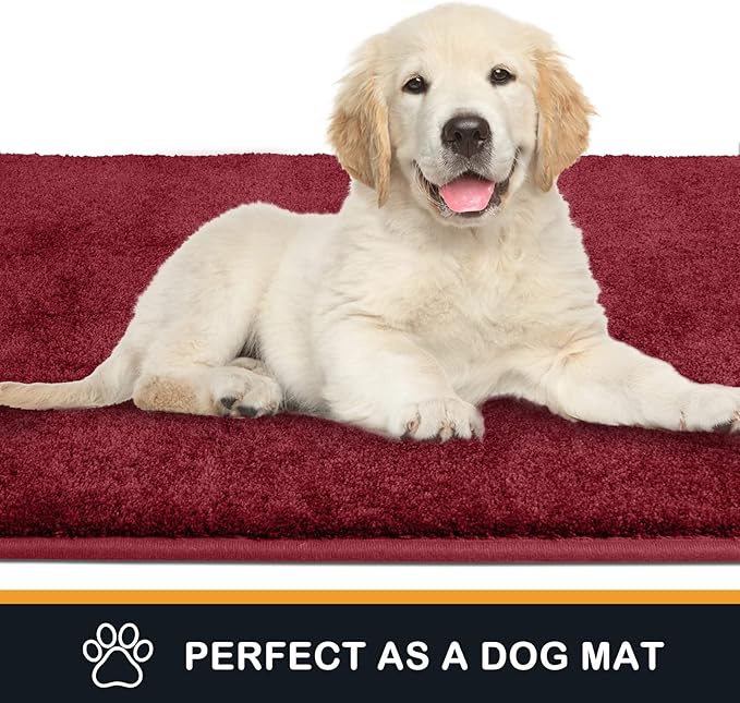 PURRUGS Dirt Trapping Door Mat 31.5" x 47", Non-Slip Machine Washable Entryway Rug, Dog Doormat, Indoor Front Door Mat, Super Absorbent Entry Rug for Muddy Shoes & Paws, Burgundy Red