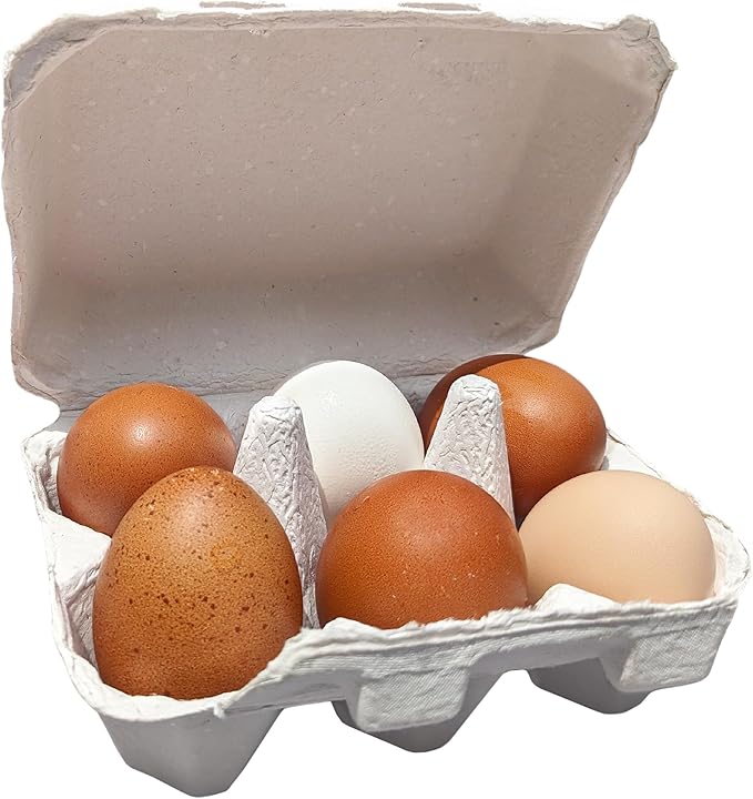 White Half Dozen Blank Egg Cartons – 6-Pack Flat Top Half-Dozen Holder, Recyclable Pulp, Ideal for Farm-Fresh Eggs, DIY Custom Labeling, Eco-Friendly Storage - 20 Pack