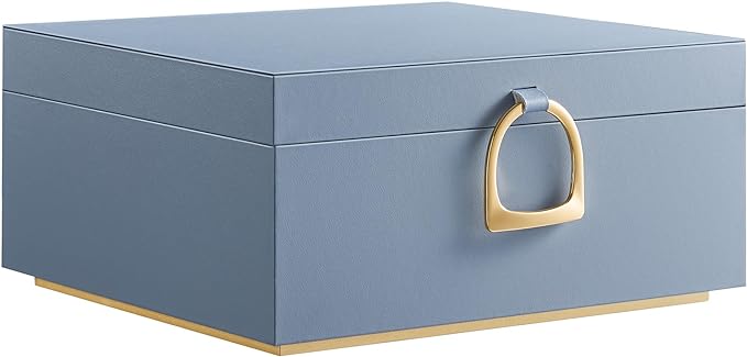 SONGMICS 2-Layer Jewelry Box, Jewelry Organizer with Handle, Removable Jewelry Tray, Jewelry Storage, Floating Effect, 8.1 x 9.4 x 4.3 Inches, Gift Idea, Misty Blue UJBC165Q01