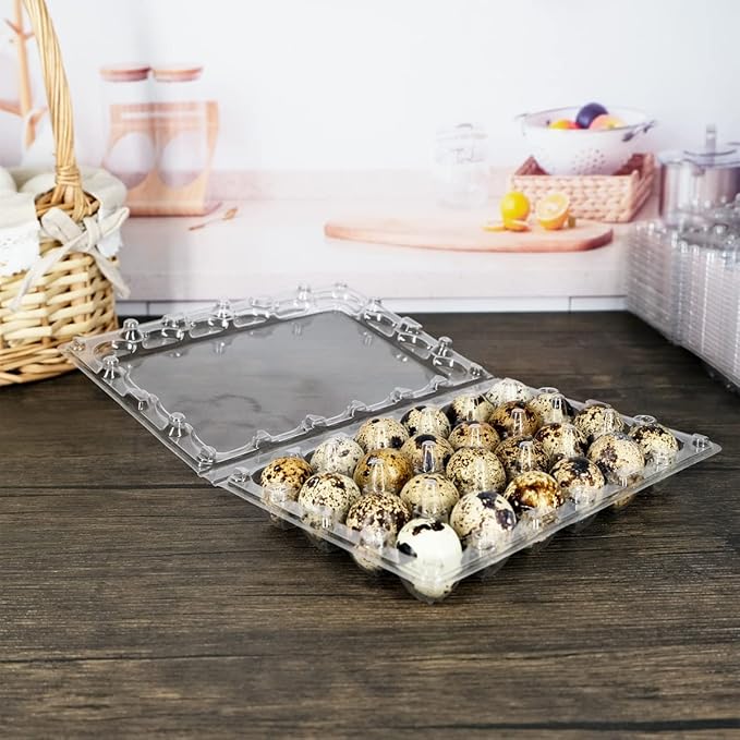 Quail Egg Cartons 60 Packs, Clear Eco-friendly Plastic Blank Egg Cartons with Free Labels, Holds up to 24 Quail Eggs Securely, Perfect for Family Pasture Farm Markets Display - Small