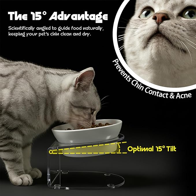 LivLab Mker Raised Cat Bowl, Elevated Cat Food Bowls with Stand - 15° Tilted Shallow Cat Dish for Whisker Fatigue Relief, 4.5" Height for Easy Feeding, Lead & Cadmium Free Melamine Bowl, White