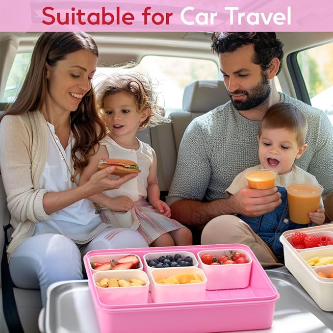 Snackle Box Container for Adults with 9 Compartment, Divided Serving Tray Snack Box Containers with Lid and Handle, Charcuterie Boxes Portable Snack Platter for Fruit Veggie Party Travel, Pink
