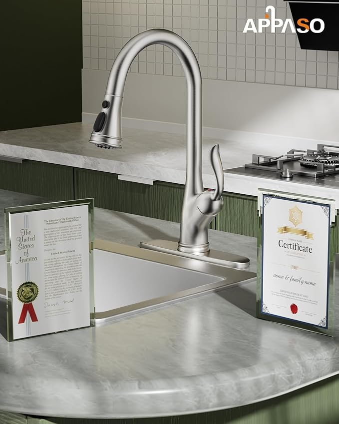 APPASO Patented Brushed Nickel Kitchen Faucet, Single Handle Kitchen Faucet with Pull Down Sprayer, Stainless Steel High Arch, cUPC-Certified Pull-Out Hose, Water Supplies & Valve
