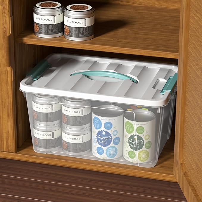 Readsky 4 Packs Clear Storage Latch Box Plastic, 14 Quart Plastic Storage Bin with Lid and Handle