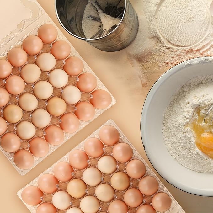 Zubebe 200 Pieces Clear Egg Cartons Plastic Egg Cartons Bulk Empty Chicken Egg Tray Holds Securely Clear Blank Egg Cartons for Chicken Farm Business Market Home Refrigerator Storage(5 x 6 Grids)