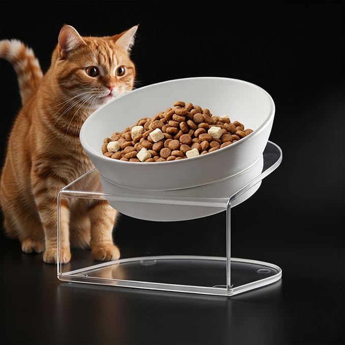 LivLab Mker Raised Cat Bowl, Elevated Cat Food Bowls with Stand - 15° Tilted Shallow Cat Dish for Whisker Fatigue Relief, 4.5" Height for Easy Feeding, Lead & Cadmium Free Melamine Bowl, White