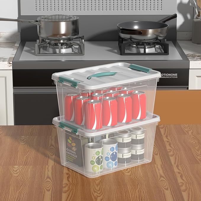 Sandmovie 14 Quarts Plastic Latching Box with Lid, Clear Latching Storage Bin with Handle, 6 Packs