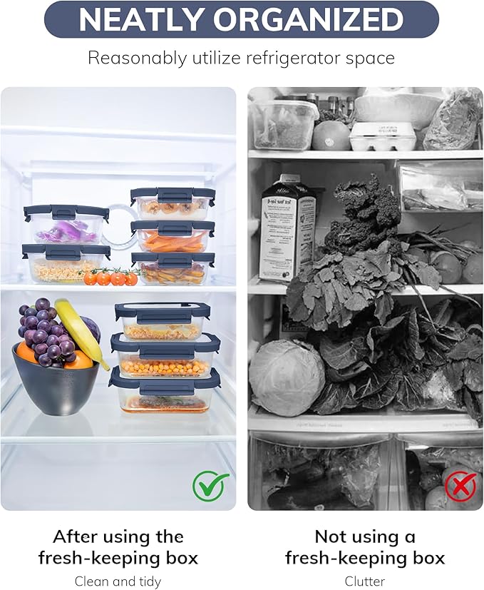 BOROHOUSE 2-Pack Glass Food Storage Containers with Tempered Lids (21.3oz/2.7cup) - Airtight Snap Lock, Microwave & Oven Safe (-4℉~ 950°F), Freezer to Baking Dish, BPA-Free, Gift Box (Blue)